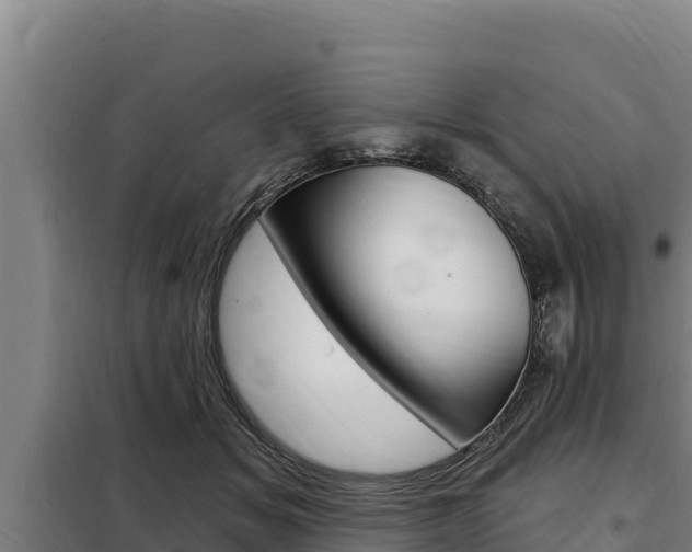 X0000098080509200804040754
