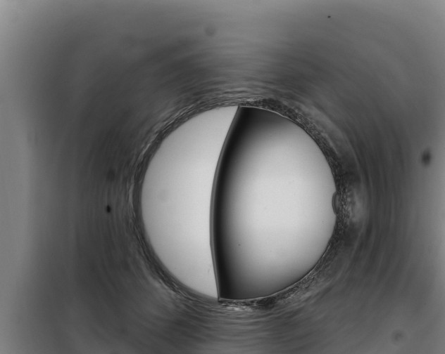 X0000098080512200804040754