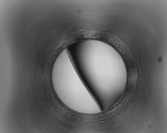 X0000098080513200804040754