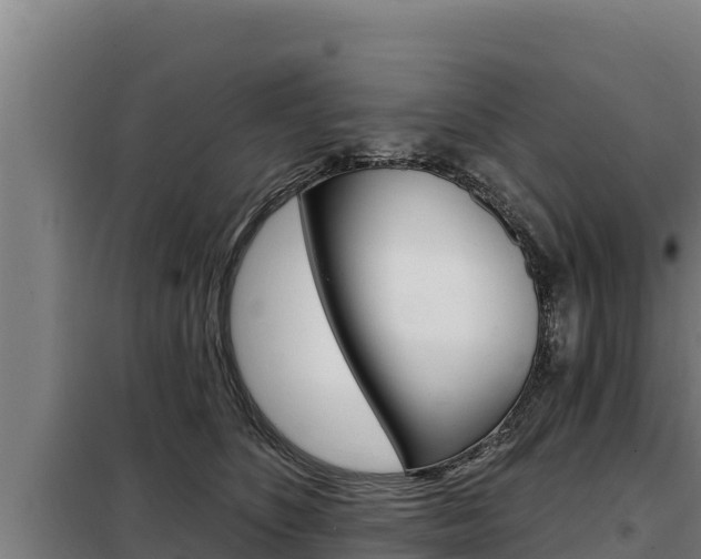 X0000098080516200804040754