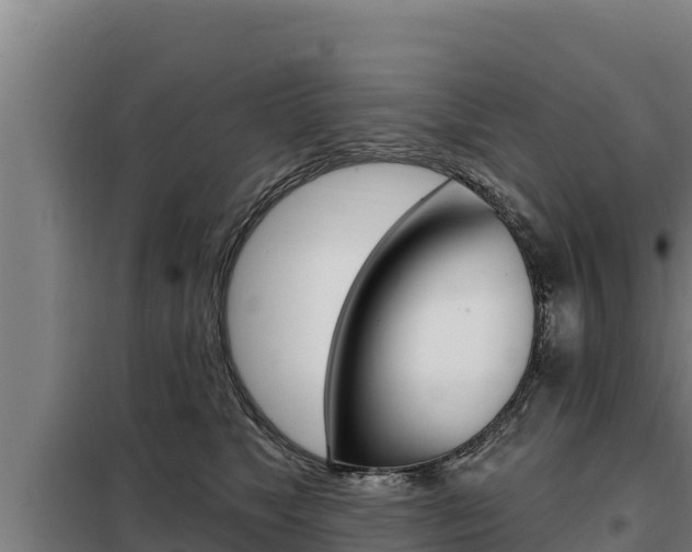 X0000098080517200804040754