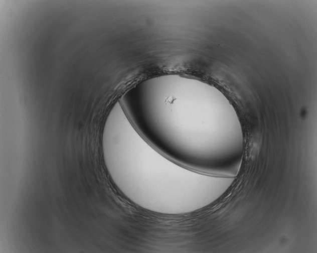 X0000098080521200804040754