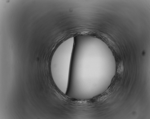 X0000098080524200804040754