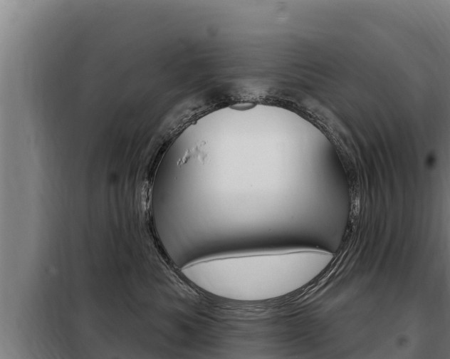X0000098080525200804040754