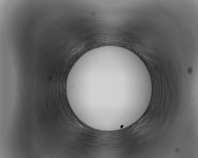 X0000098080528200804040754