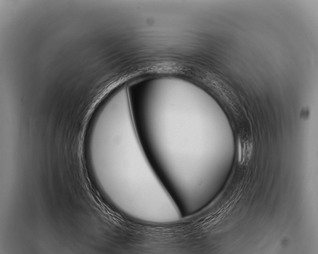 X0000098080531200804040753