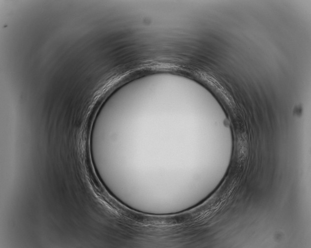 X0000098080533200804040753