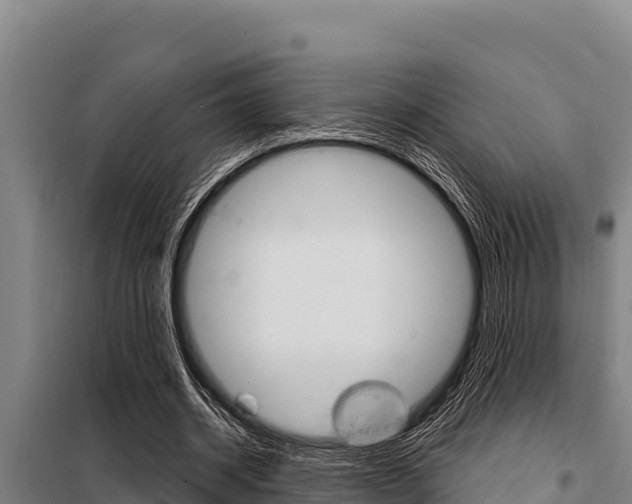 X0000098080534200804040753