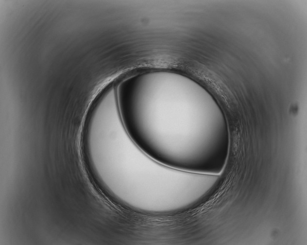 X0000098080536200804040753
