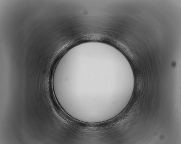 X0000098080538200804040753