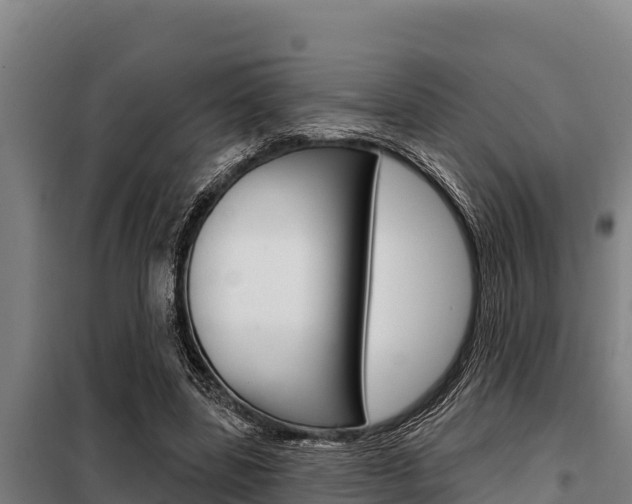 X0000098080539200804040753