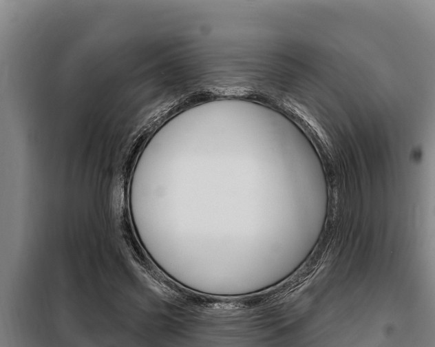 X0000098080541200804040753
