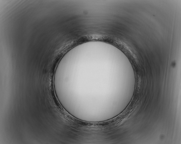 X0000098080545200804040753