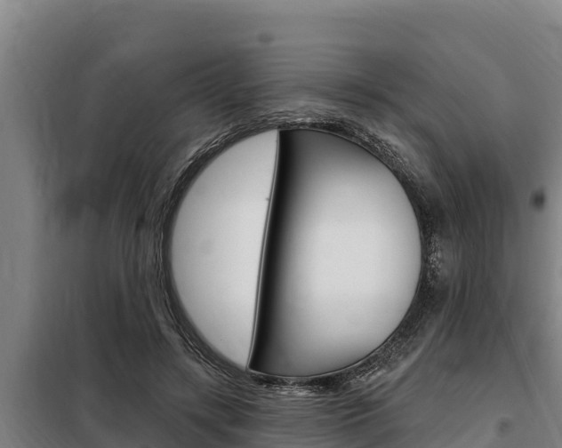 X0000098080547200804040753