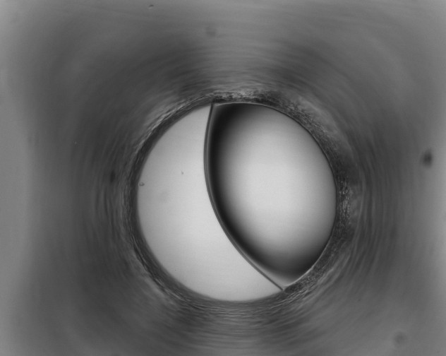 X0000098080548200804040753
