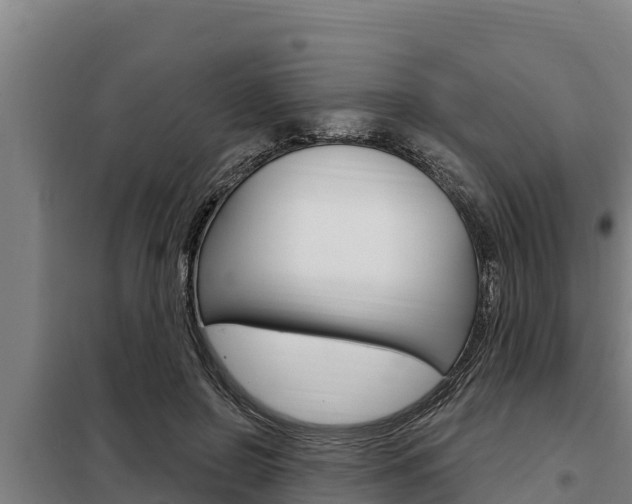 X0000098080550200804040754