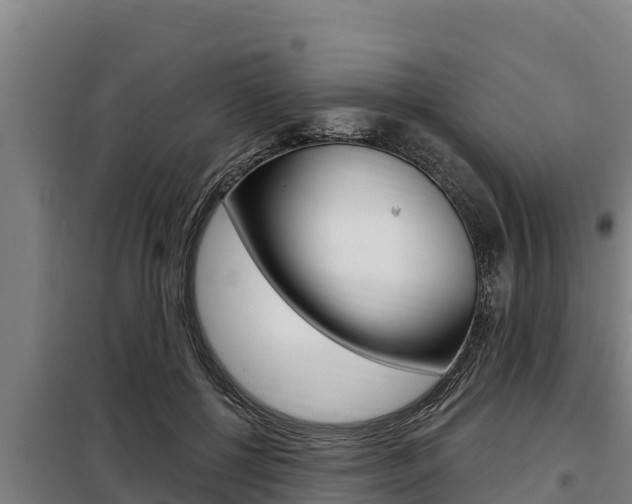 X0000098080552200804040754
