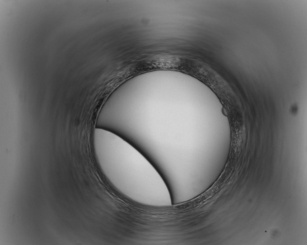 X0000098080553200804040754