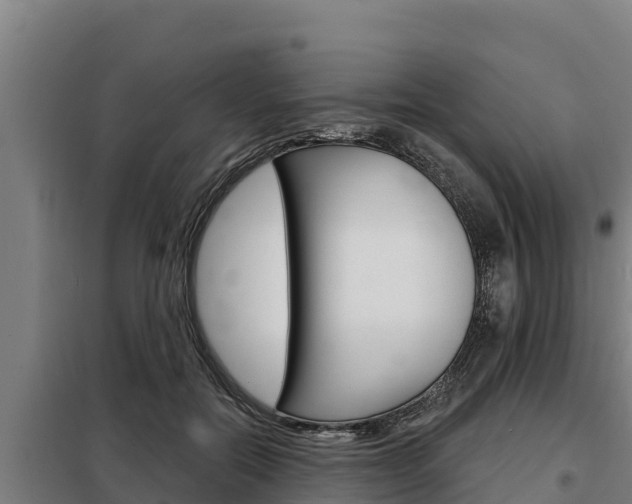 X0000098080554200804040754