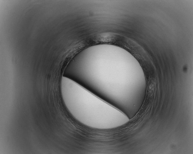 X0000098080555200804040754