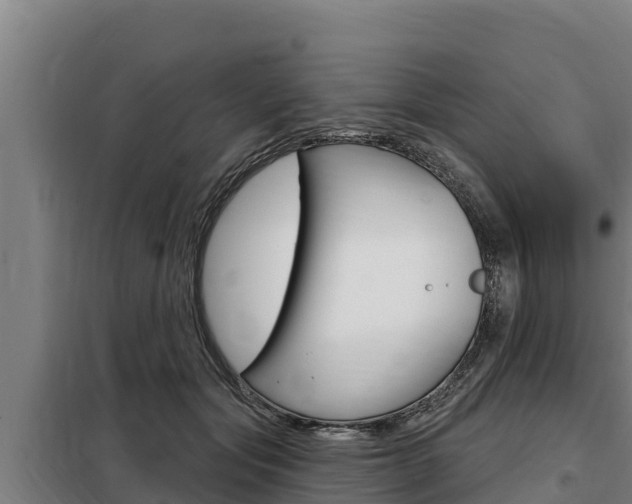 X0000098080557200804040754