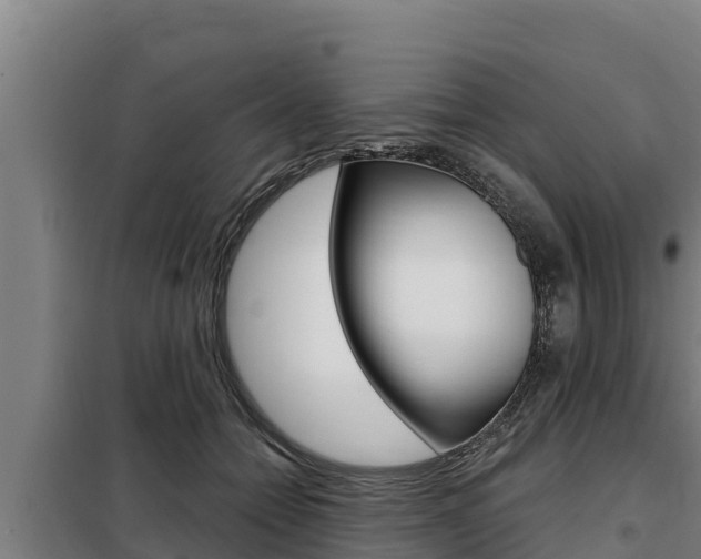 X0000098080558200804040754