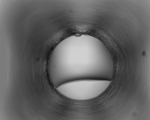 X0000098080559200804040754