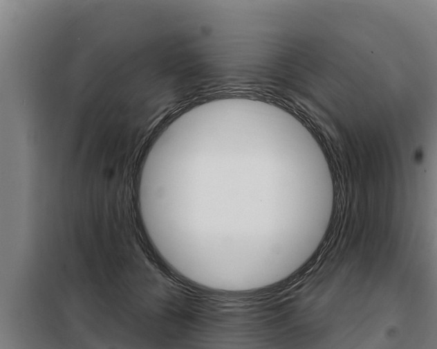 X0000098080560200804040754