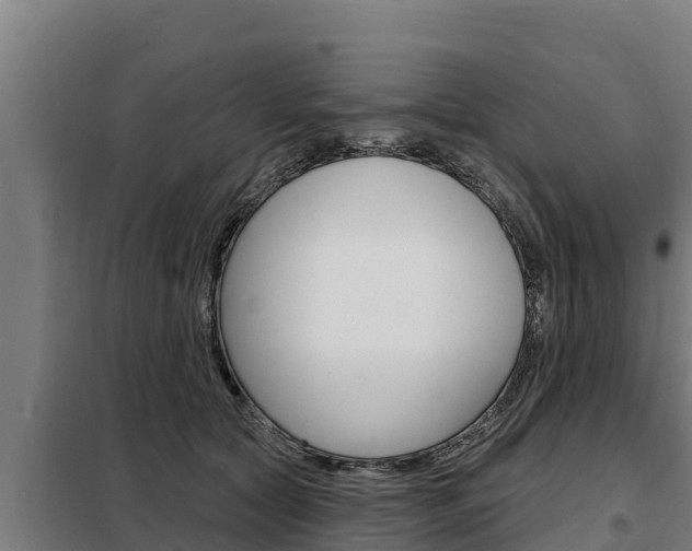 X0000098080561200804040754