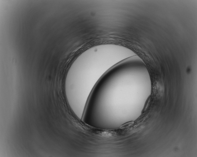 X0000098080566200804040754