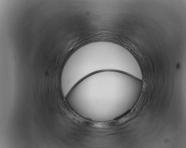 X0000098080568200804040754