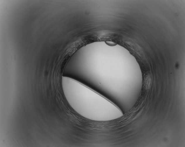 X0000098080571200804040754