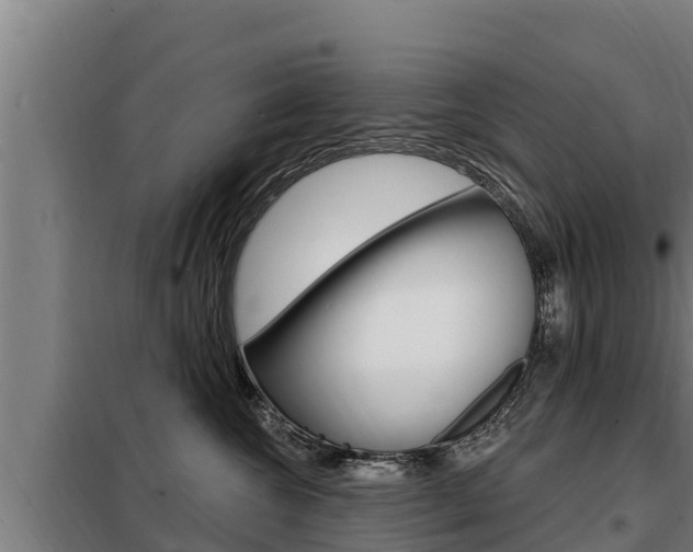 X0000098080572200804040754