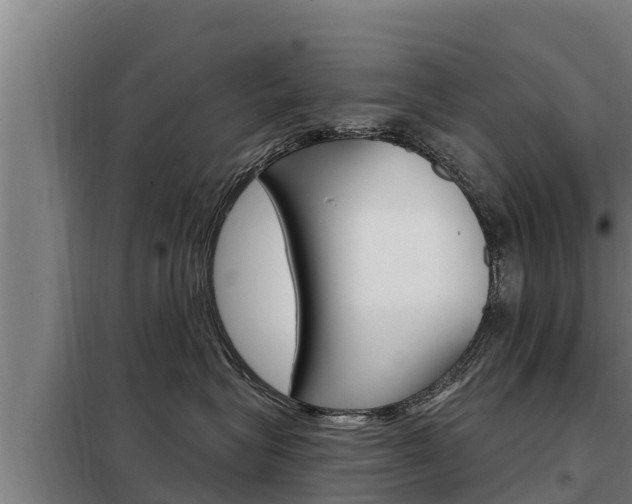 X0000098080575200804040754