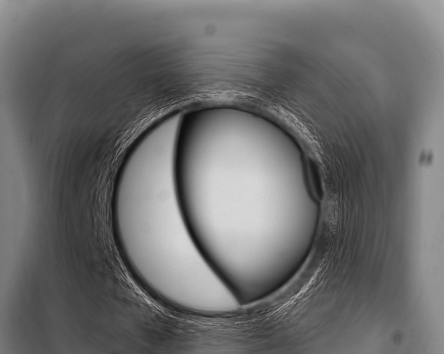 X0000098080577200804040753