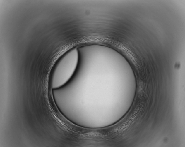 X0000098080578200804040753