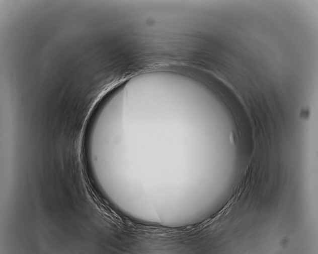 X0000098080579200804040753