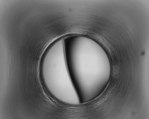 X0000098080580200804040753