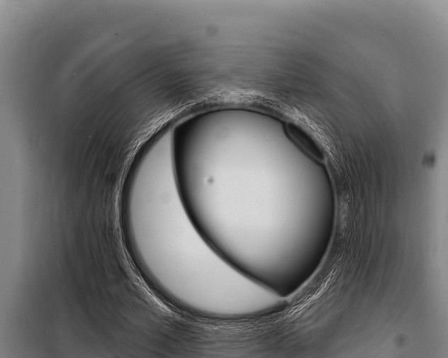 X0000098080581200804040753