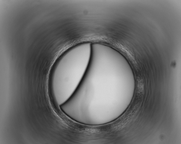 X0000098080582200804040753