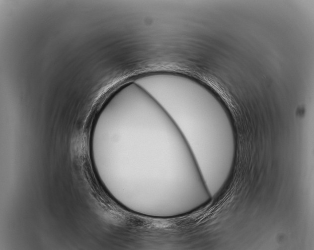 X0000098080583200804040753