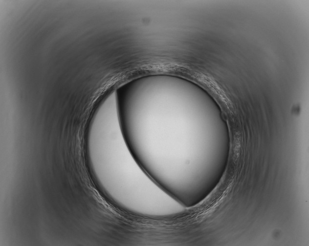 X0000098080585200804040753