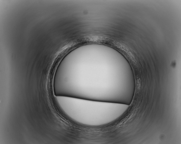 X0000098080587200804040753