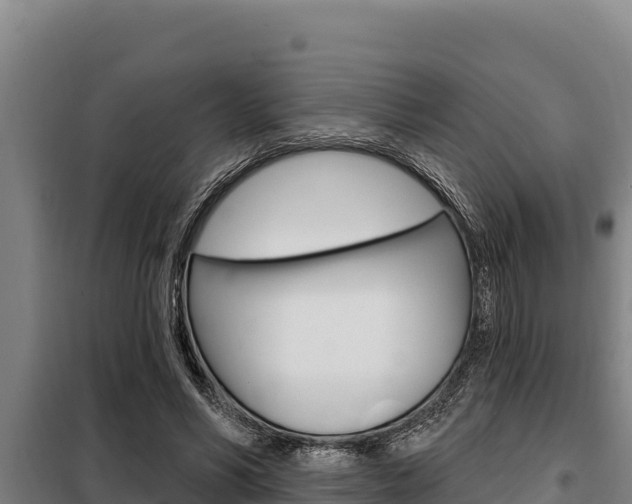 X0000098080590200804040753
