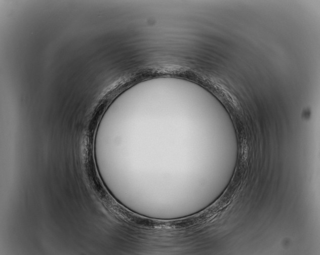 X0000098080591200804040753