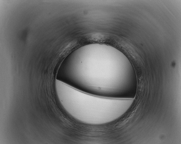 X0000098080597200804040753
