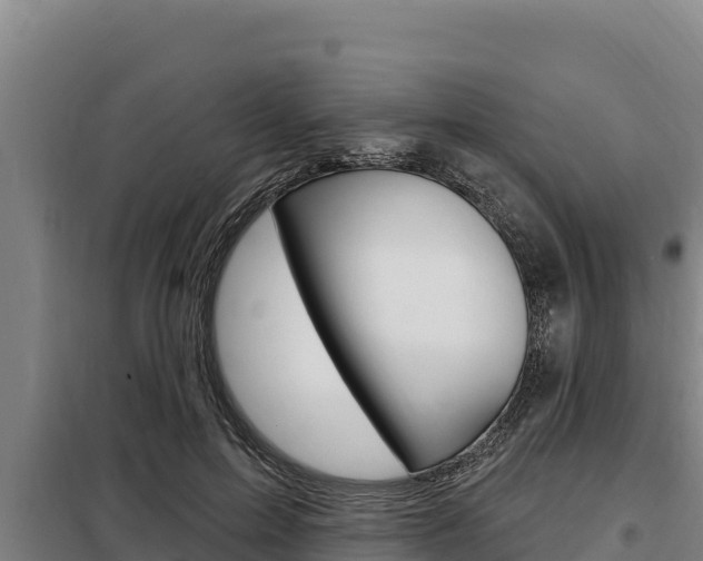 X0000098080599200804040753