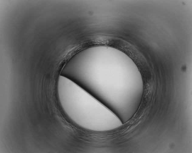 X0000098080600200804040753