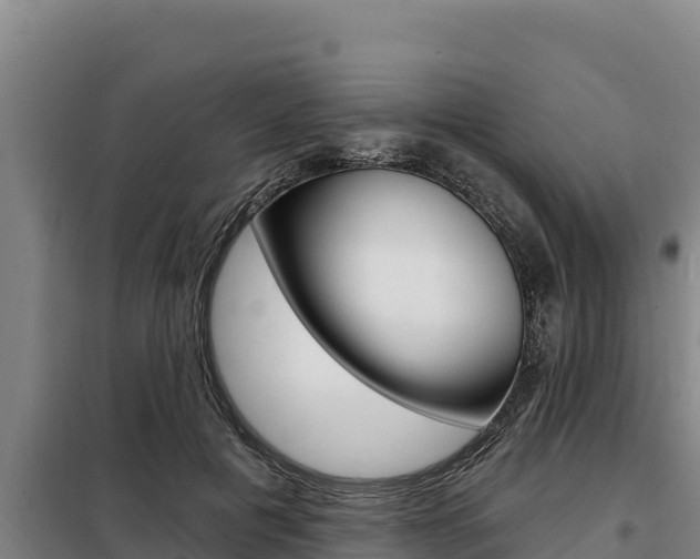 X0000098080601200804040753