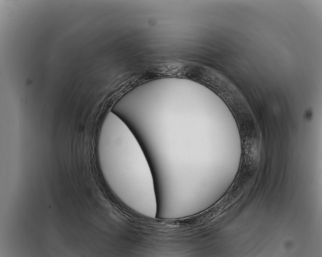 X0000098080602200804040753